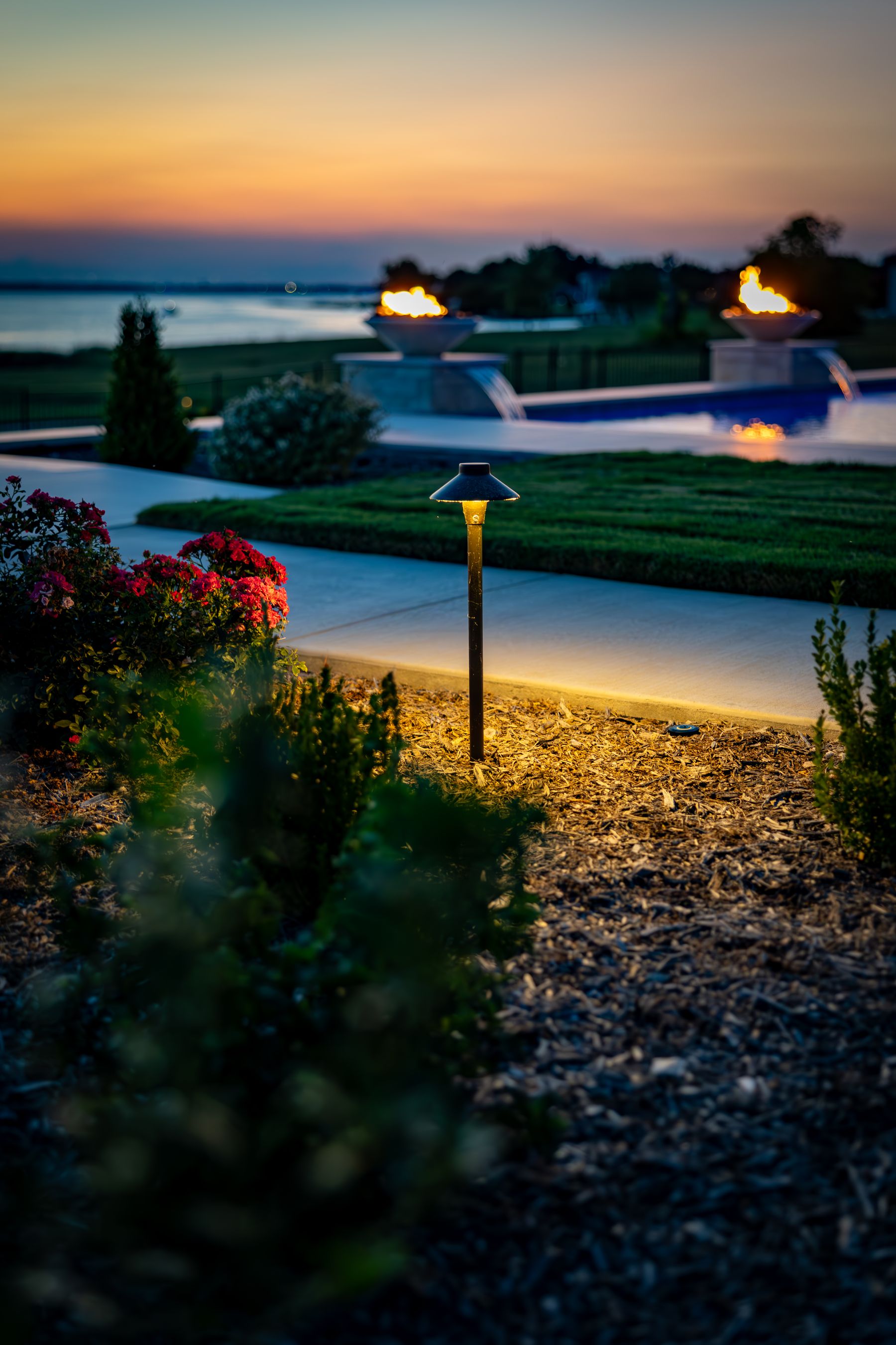 🌳💡Give Your Landscape a Glow Up… Literally! 💡🌳